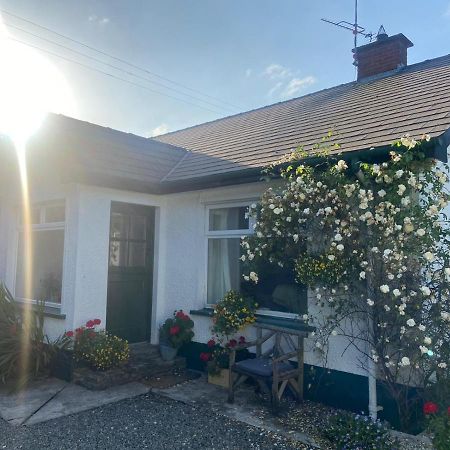 Hawthorn Cottage Greencastle  Eksteriør billede