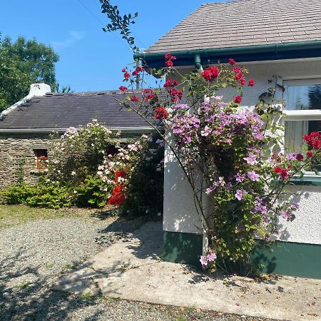 Hawthorn Cottage Greencastle  Eksteriør billede
