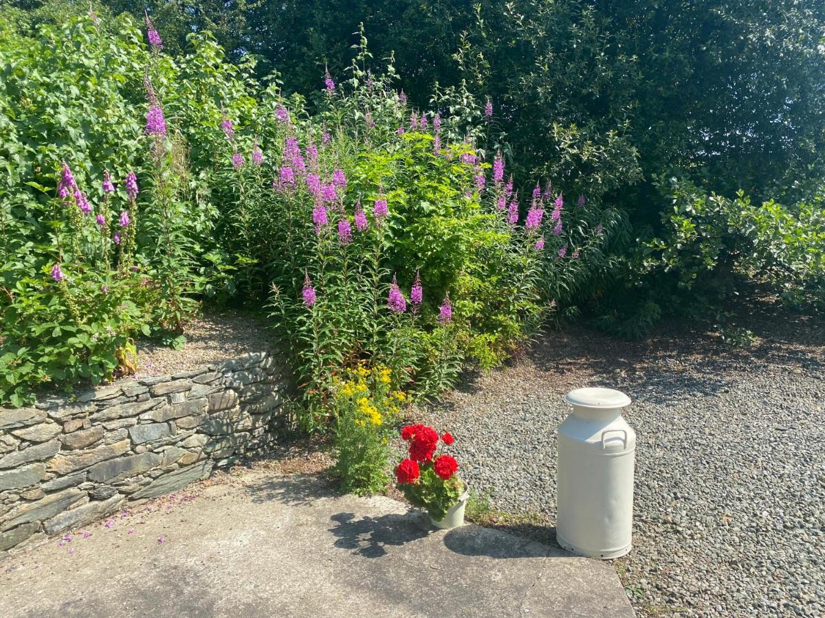 Hawthorn Cottage Greencastle  Eksteriør billede